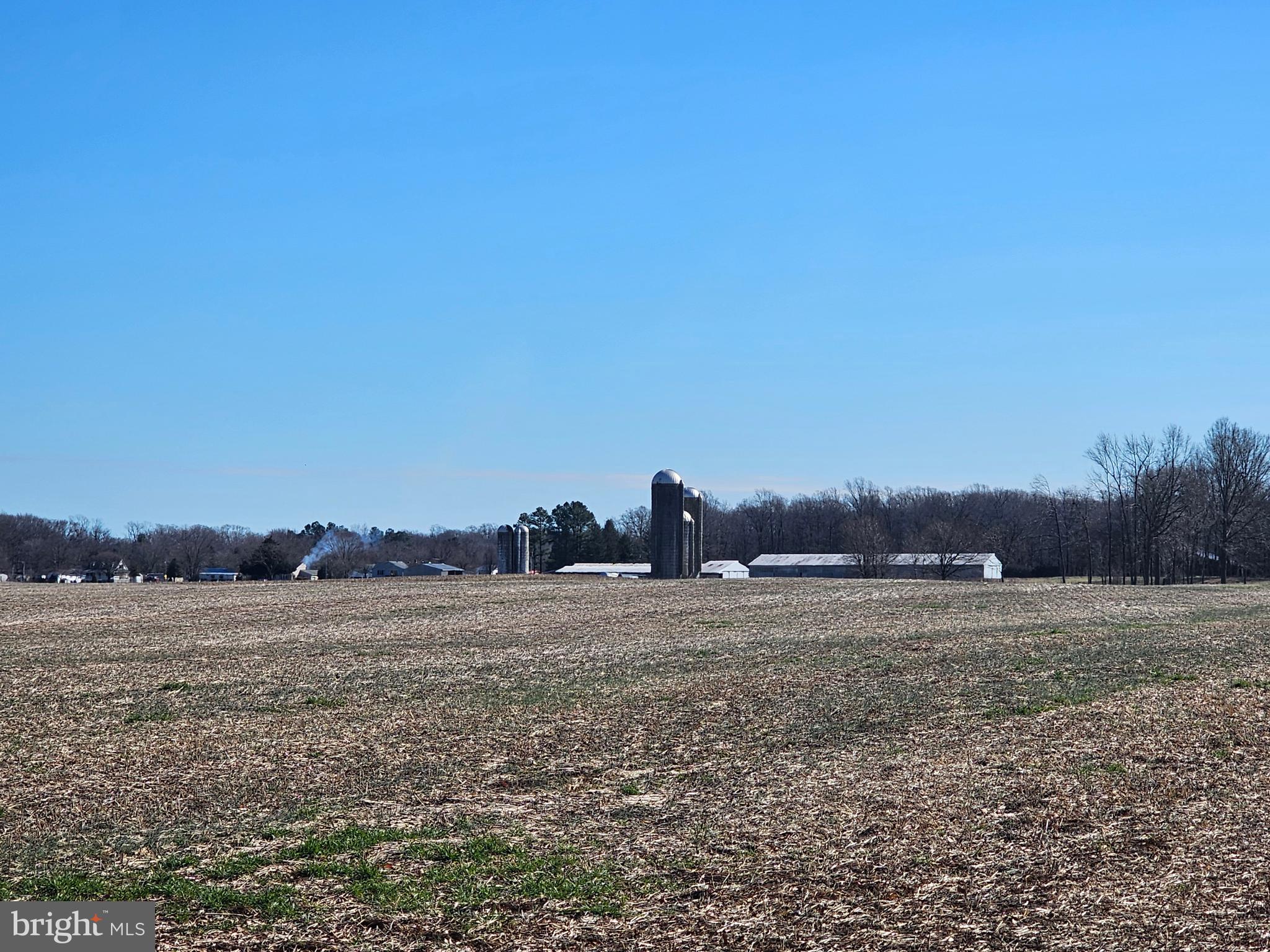 NONE AVAILABLE - Farm