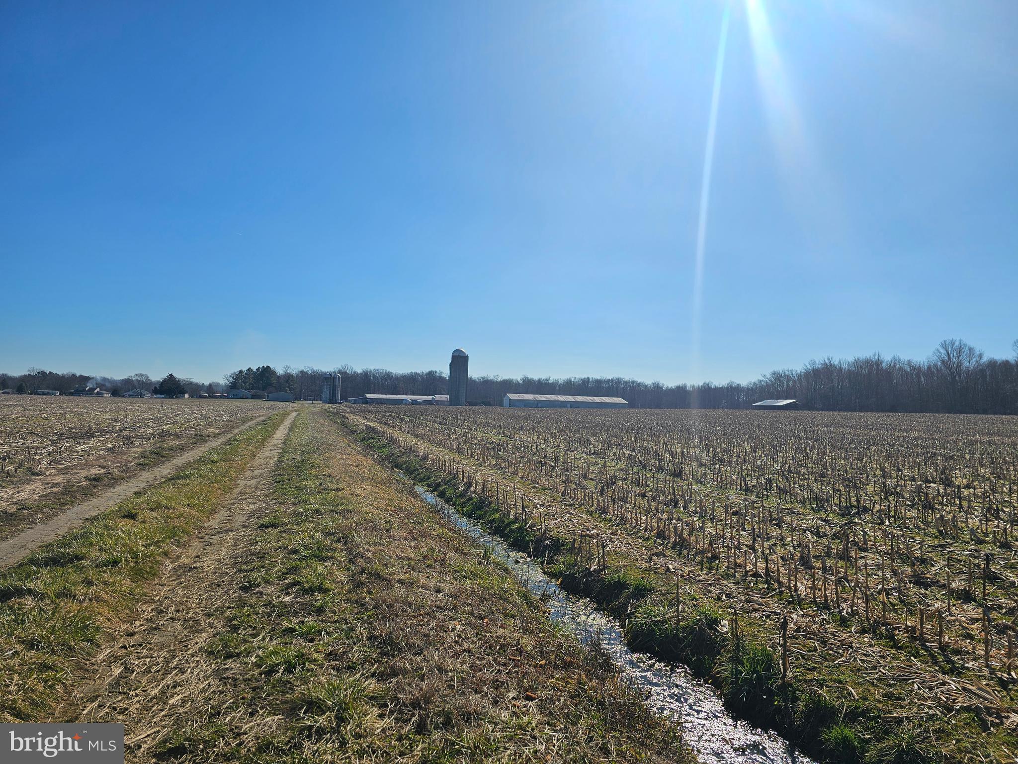 NONE AVAILABLE - Farm