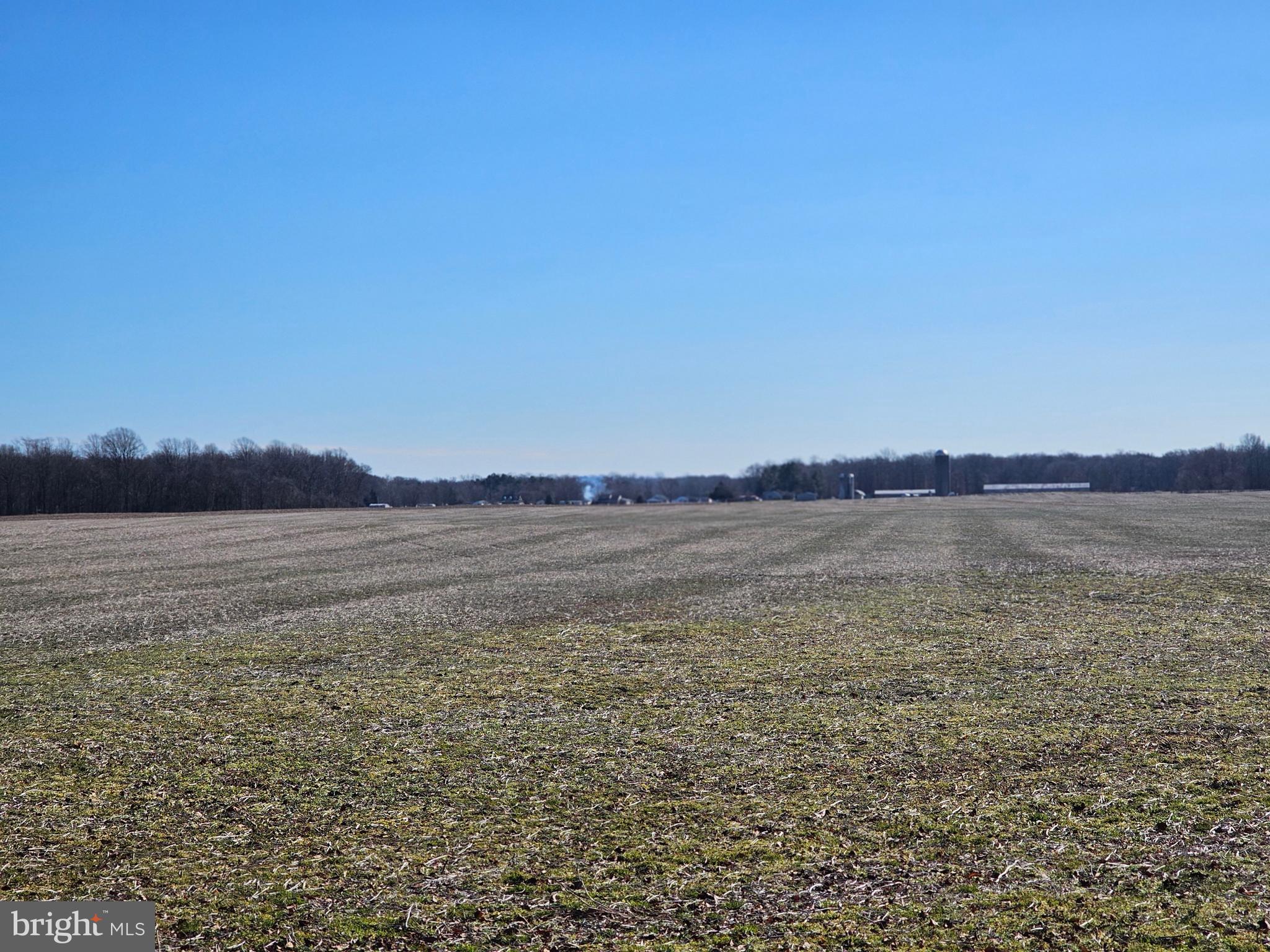 NONE AVAILABLE - Farm