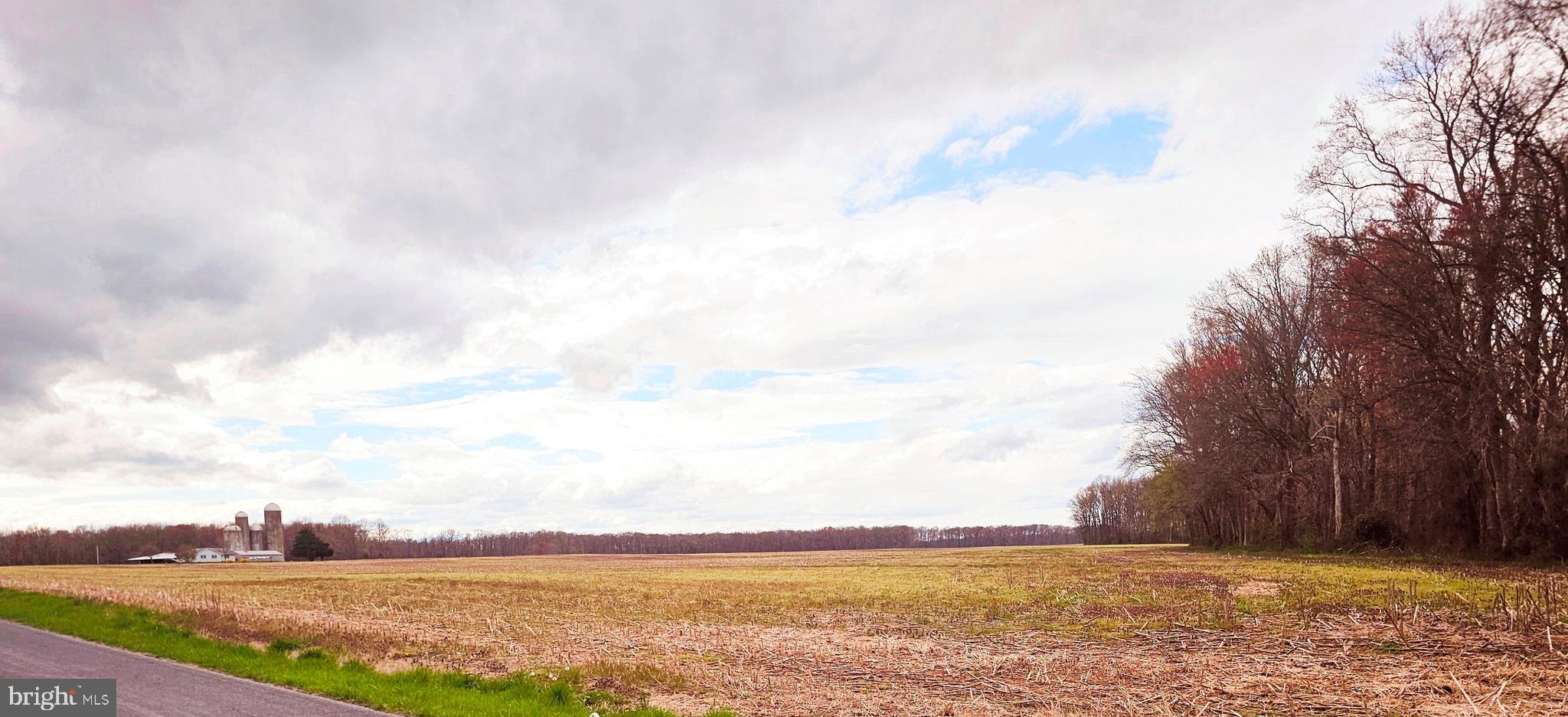 NONE AVAILABLE - Farm