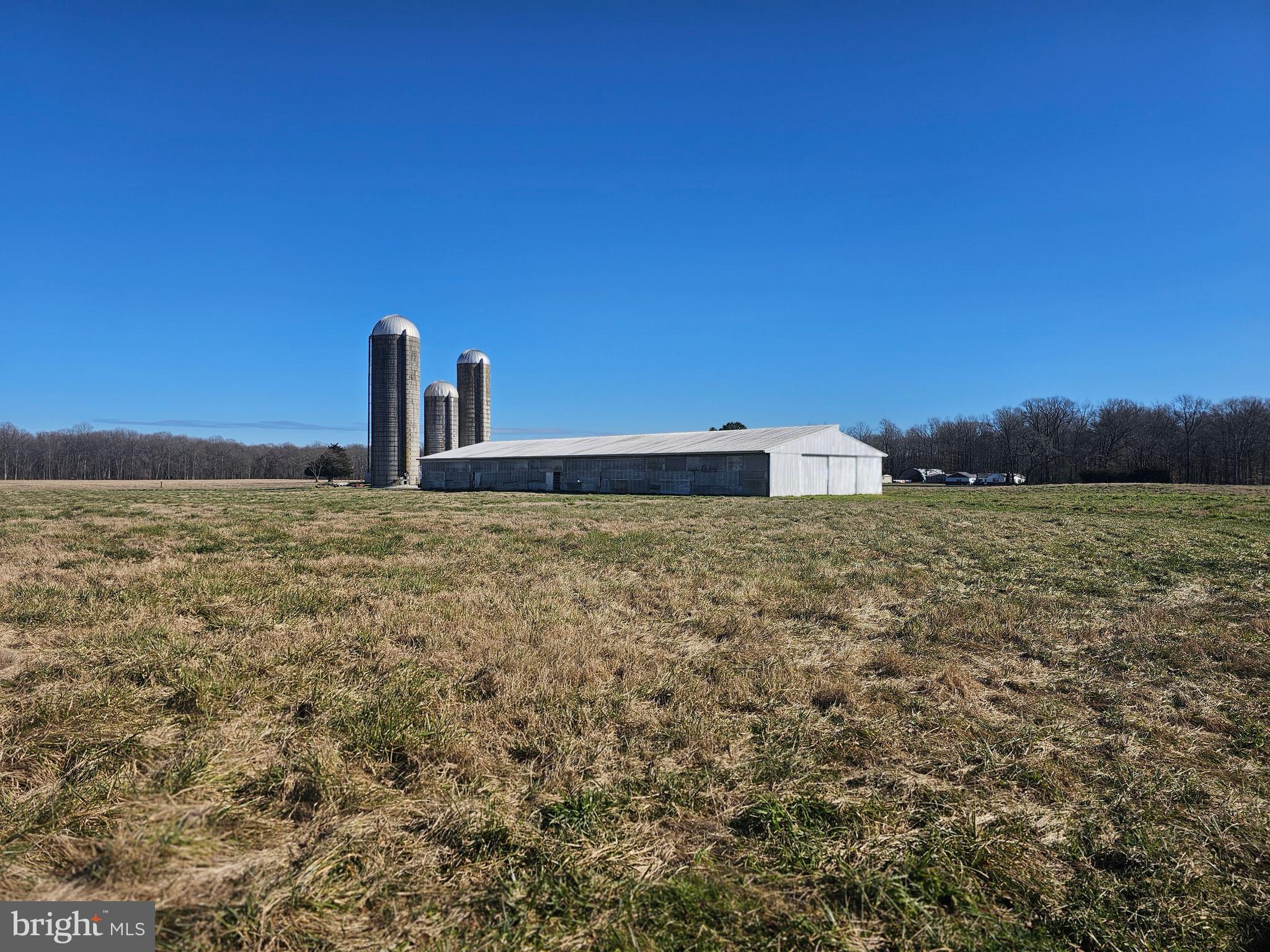 NONE AVAILABLE - Farm