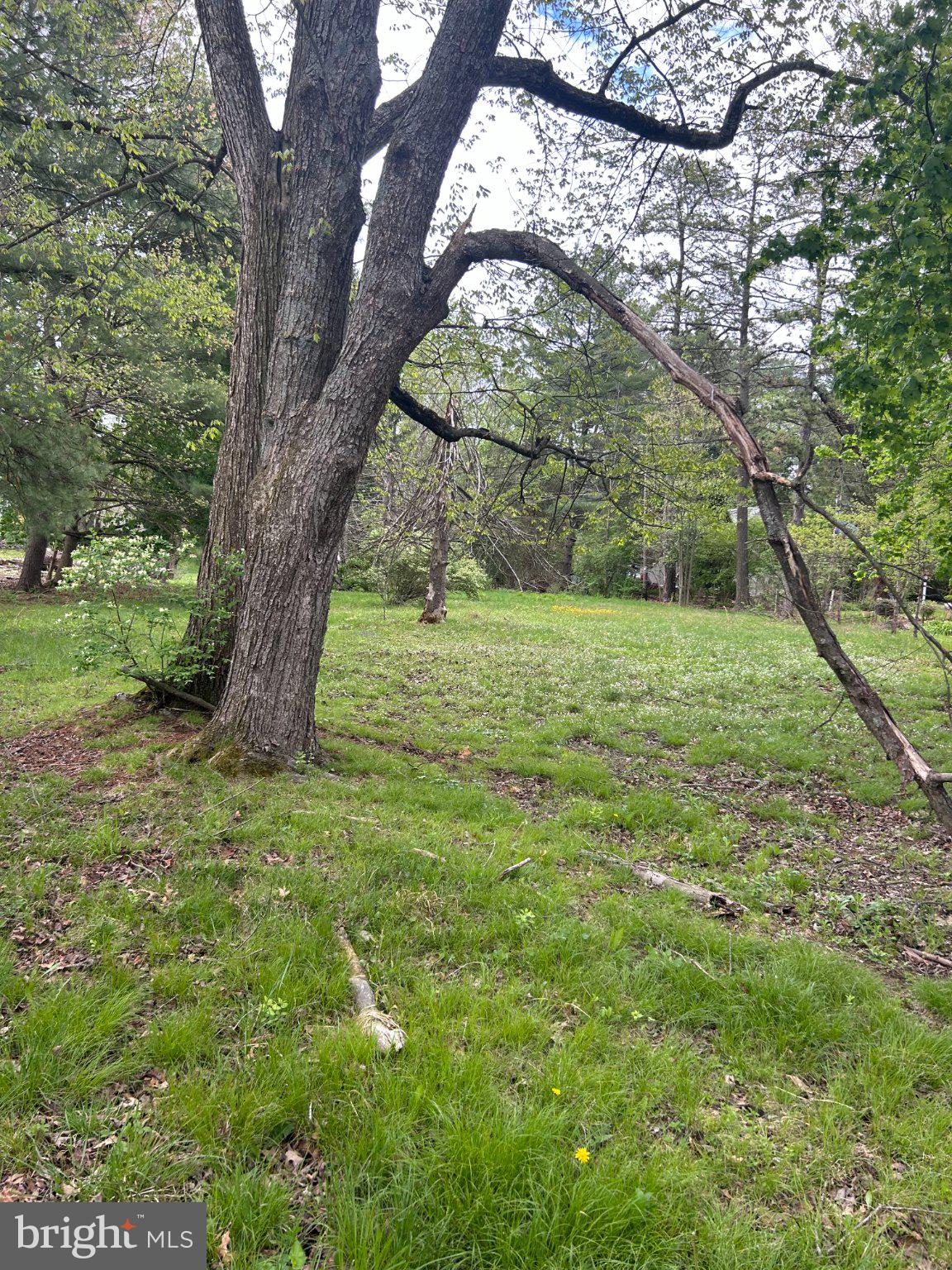 DEER LAKE - Residential