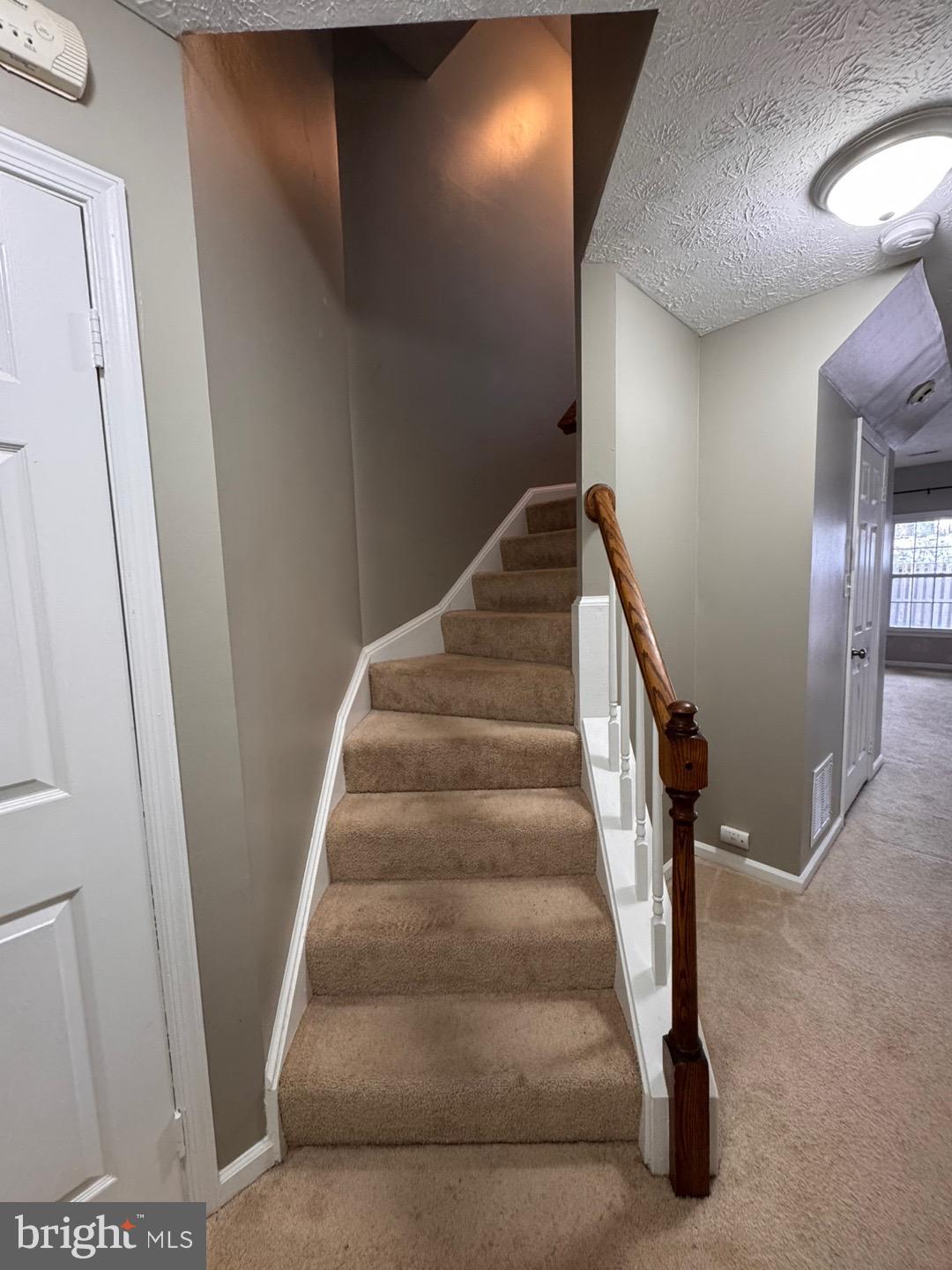 PARADISE - Residential