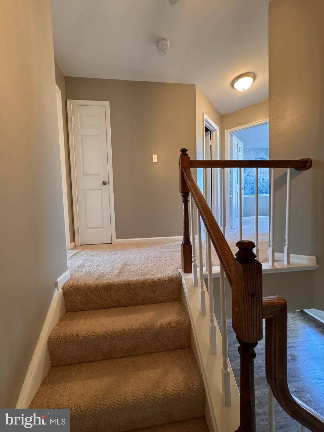 PARADISE - Residential