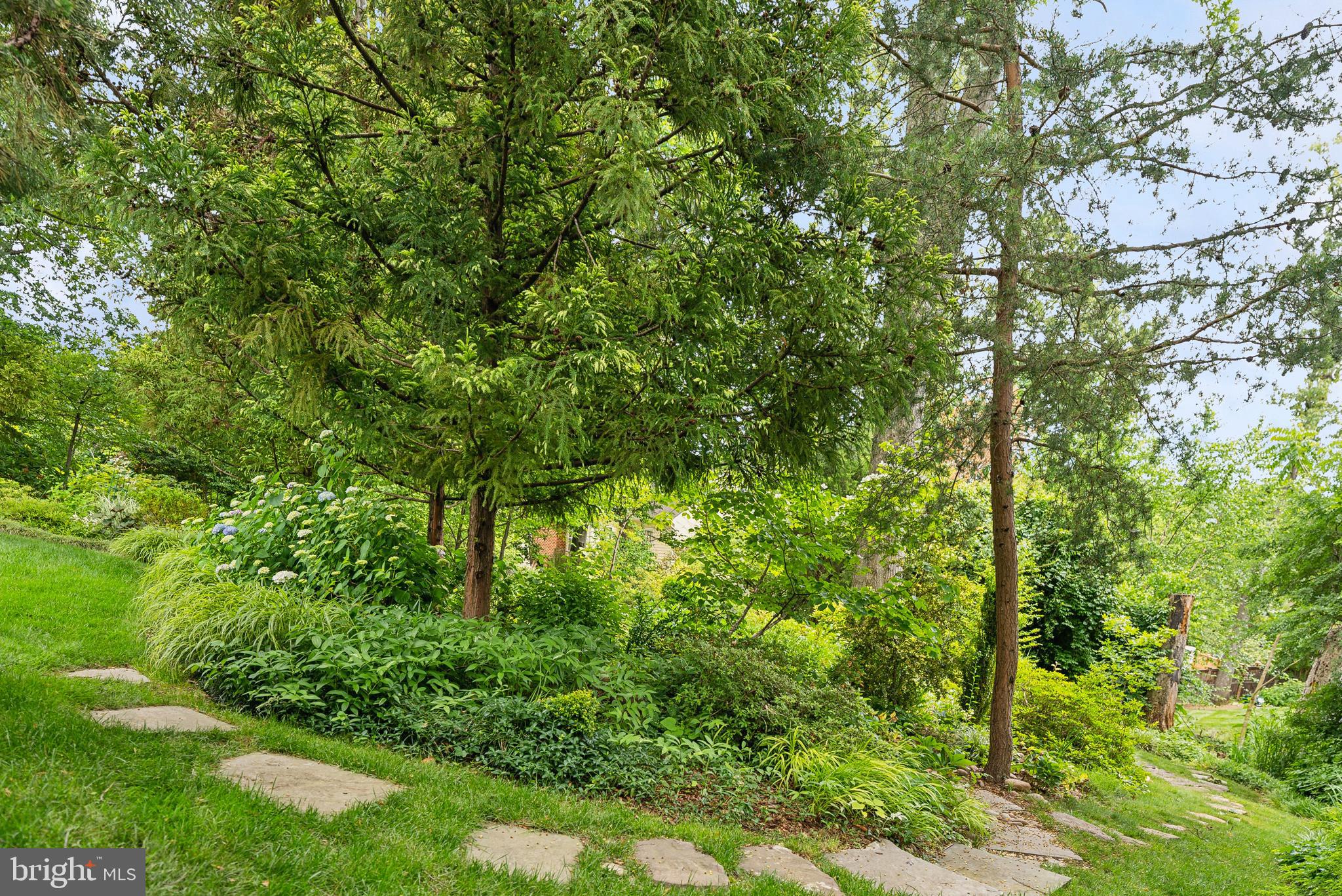 MANSION DRIVE - Residential