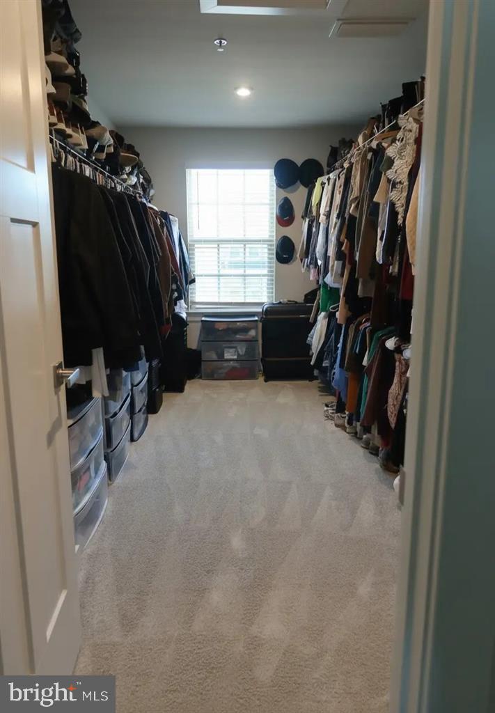 TIMOTHY BRANCH 55+ - Residential