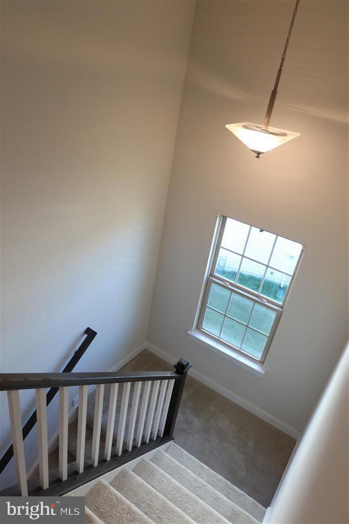 TIMOTHY BRANCH 55+ - Residential