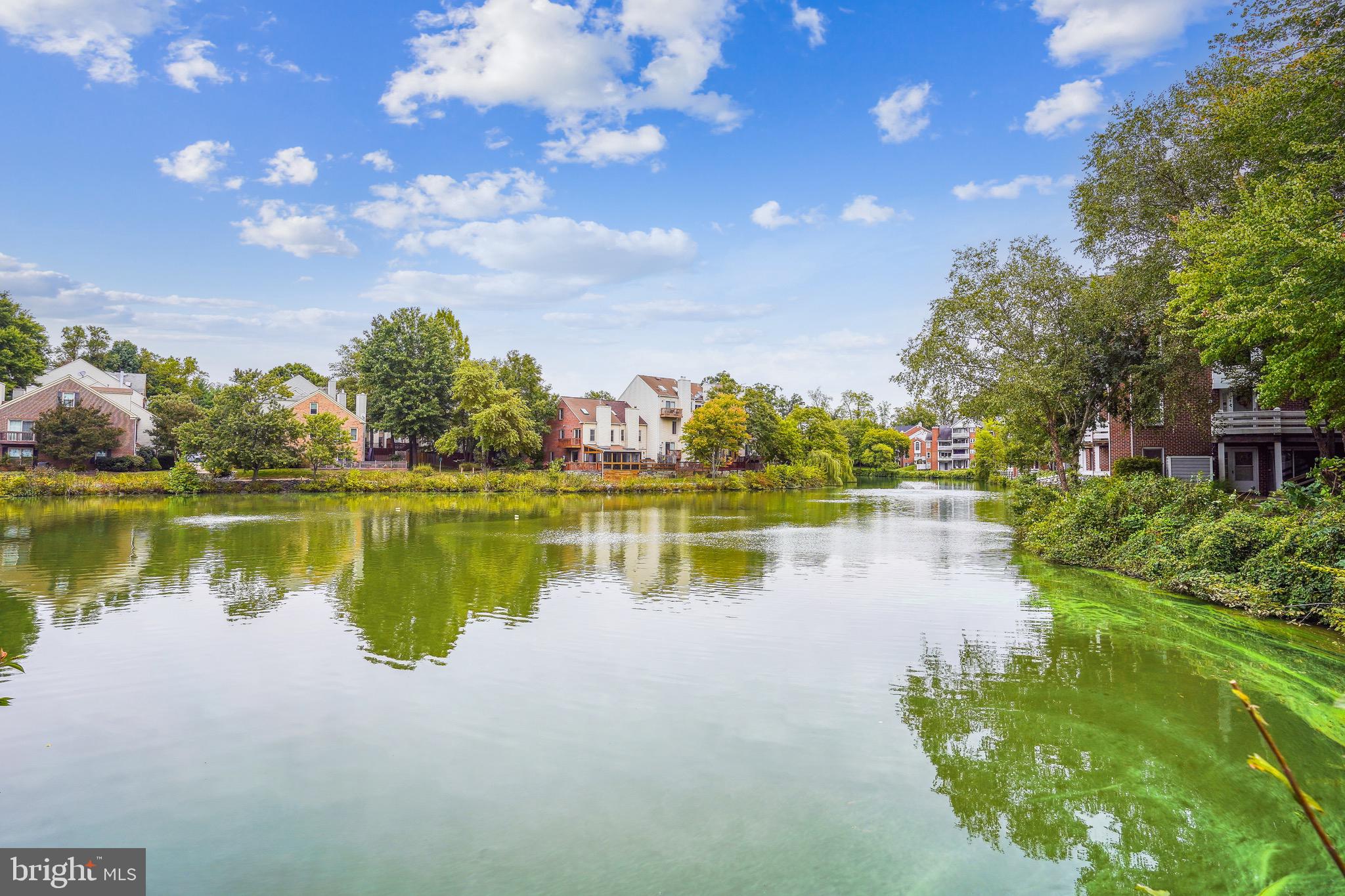 THE COVE - Residential