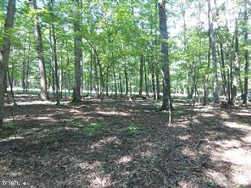 Beautiful, Private, Wooded 3.38 acre lot with wet weather stream.  Watch the deer gaze and the squirrels roam from your own piece of heaven.  This lot offers access to the four acre community part with BBQ pits, picnic tables, bathroom facilities, and access to the ever flowing Cacapon River where you can enjoy fishing, swimming, or maybe  floating on the river. Perc on File.  A Must See!