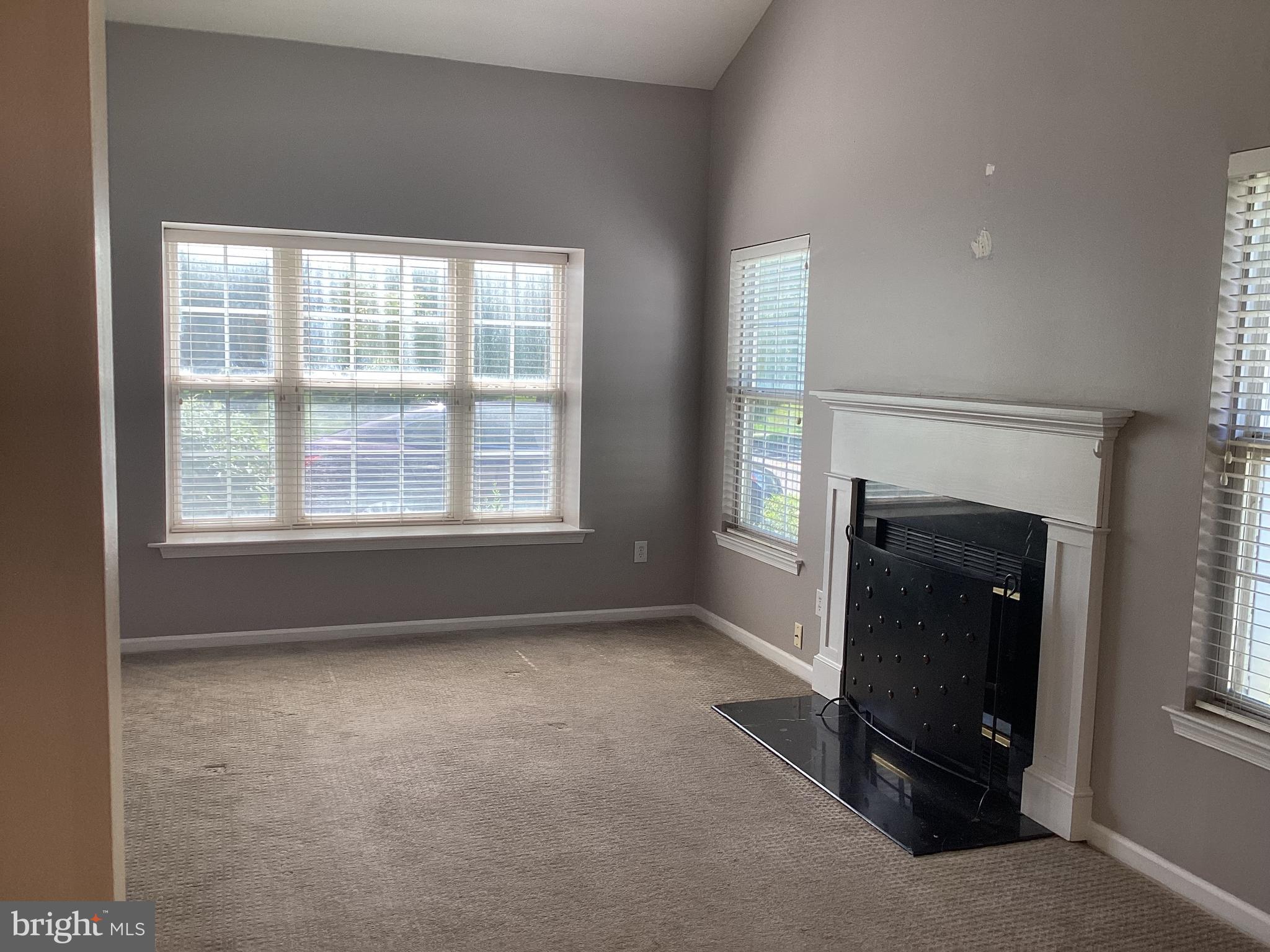 163 BIRCH HOLLOW DRIVE