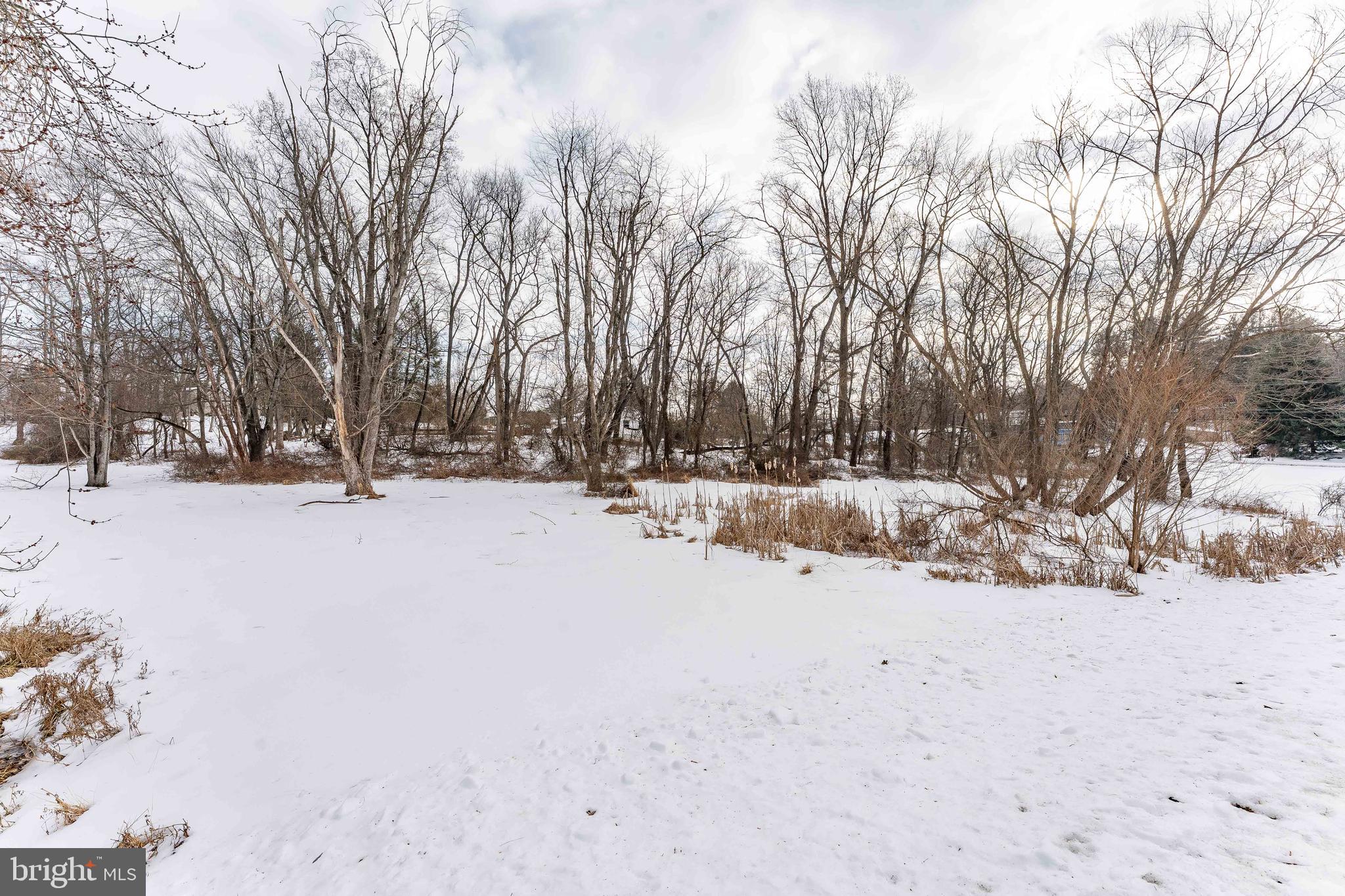 1438 WILLIAMSBURG DRIVE