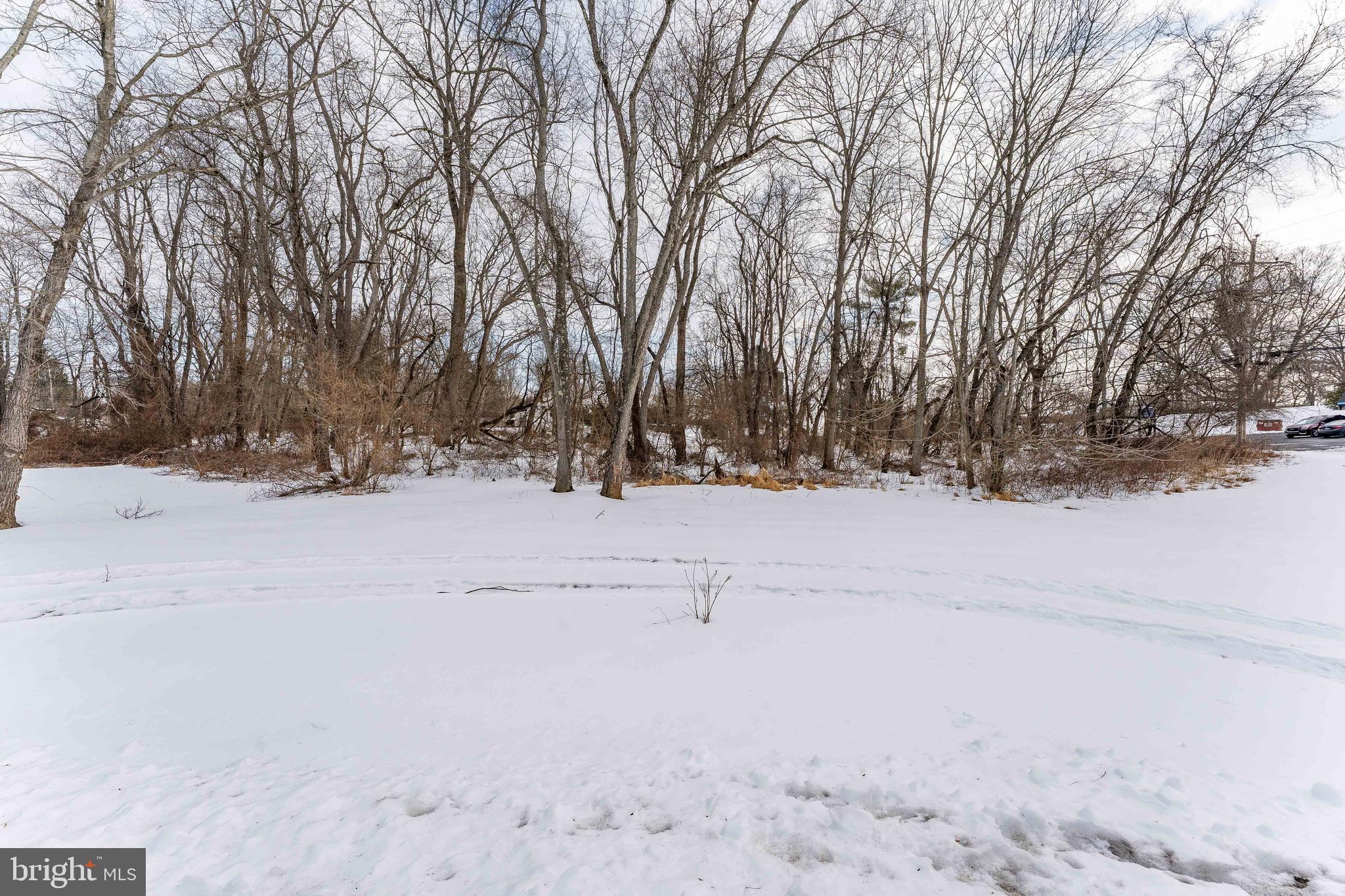 1438 WILLIAMSBURG DRIVE