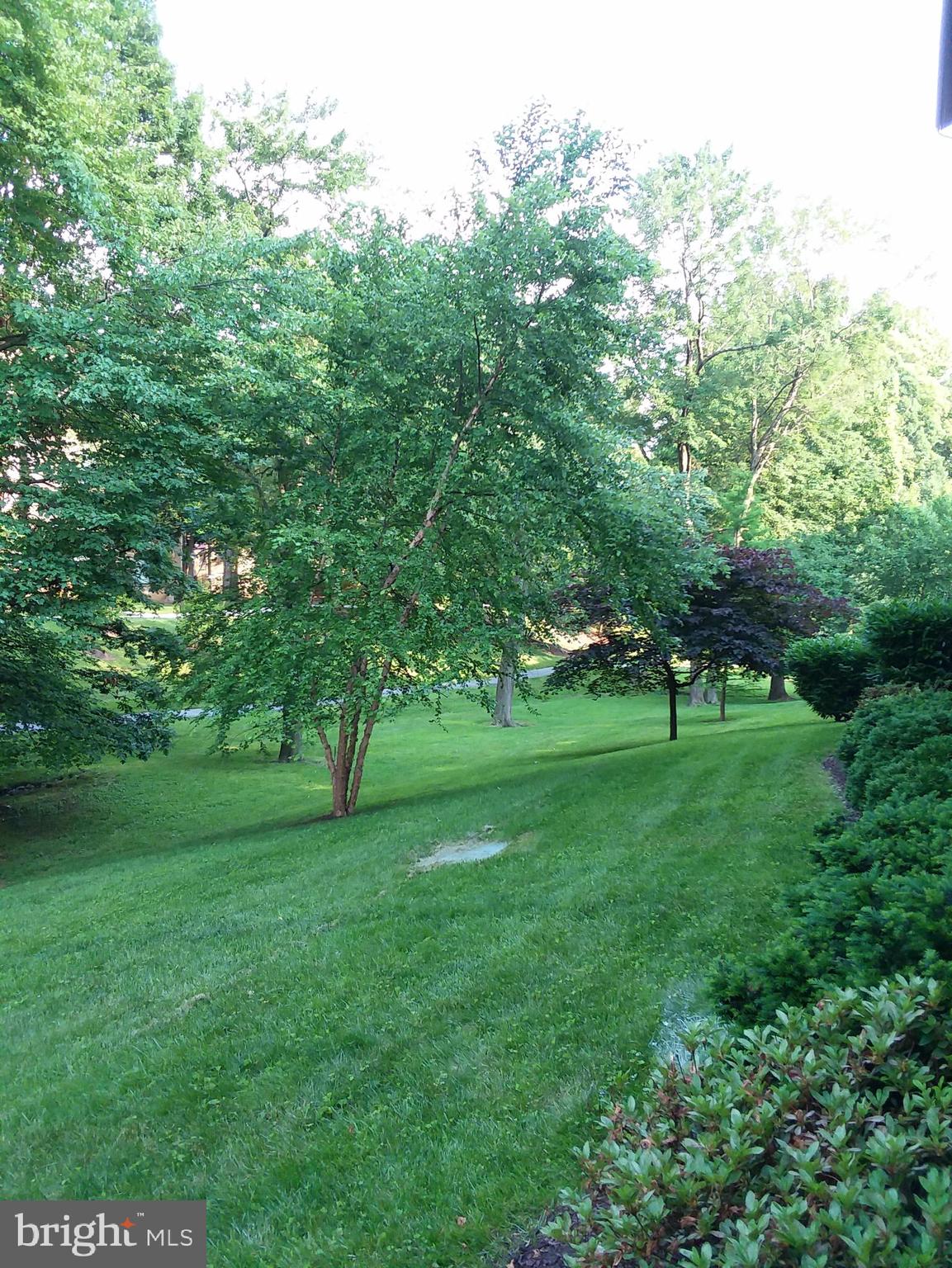 GEORGETOWN VILLAGE - Residential Lease