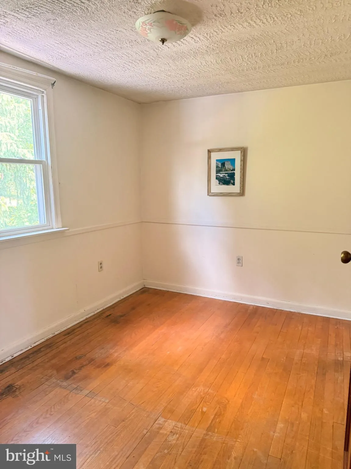 Additional image 38 of 14513 McMullen Highway SW, Cresaptown, MD 21502
