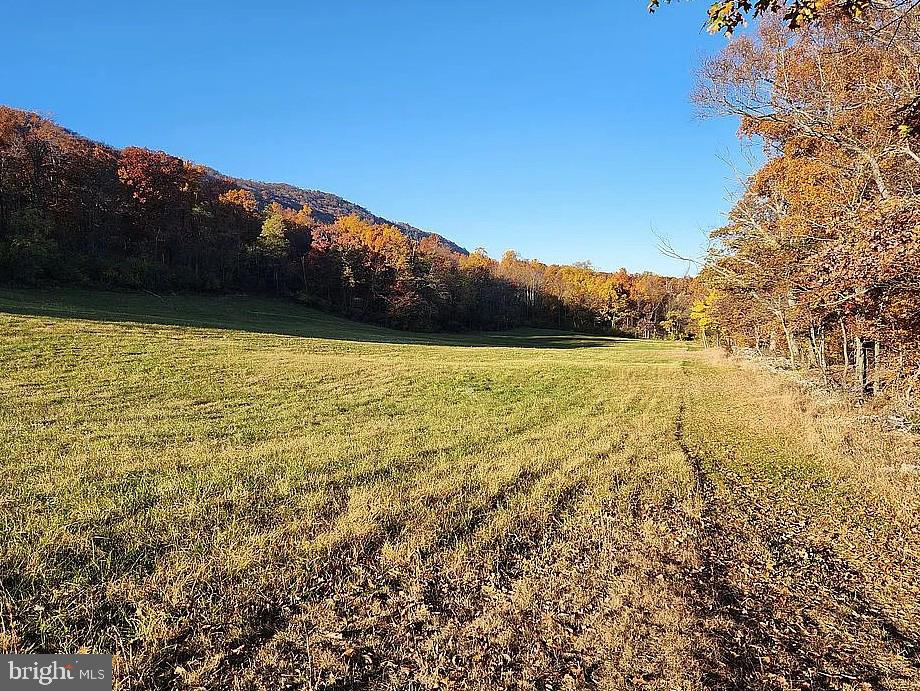 TRACT 1: 56+/- ACRES AT 9611 CIRCLE DRIVE
