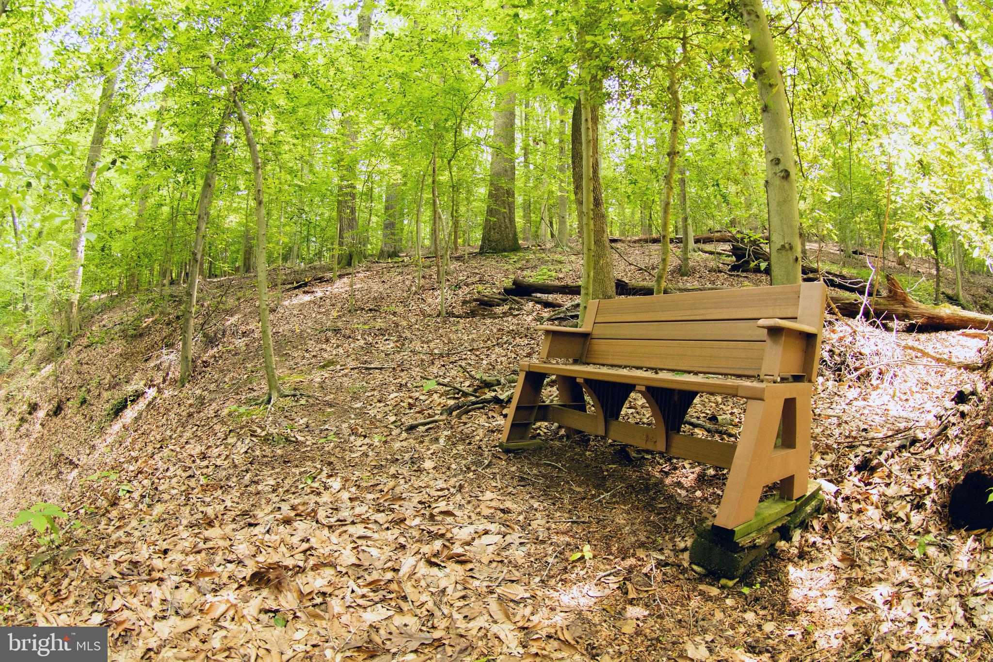 MOYAONE RESERVE - Residential