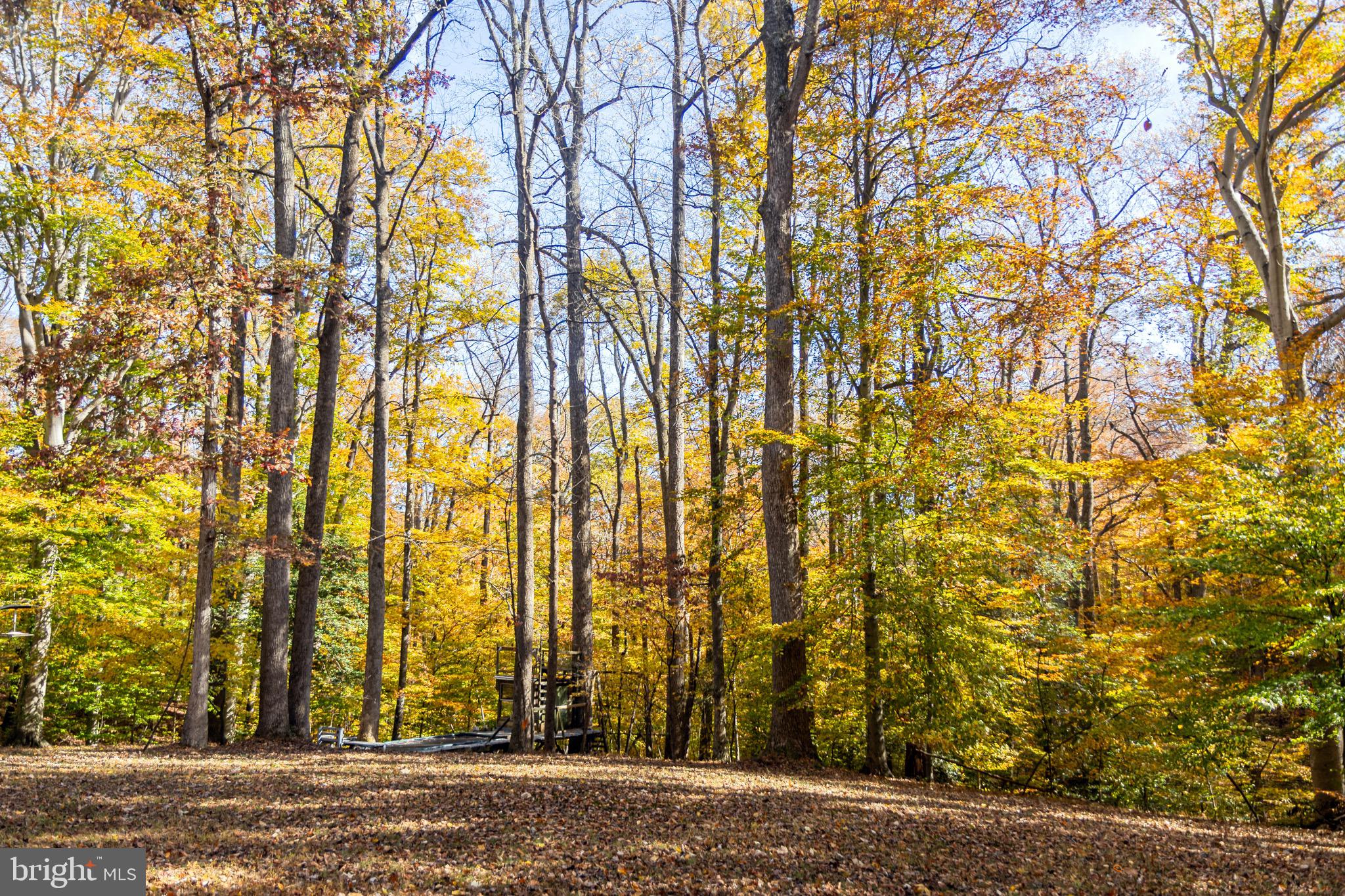 MOYAONE RESERVE - Residential