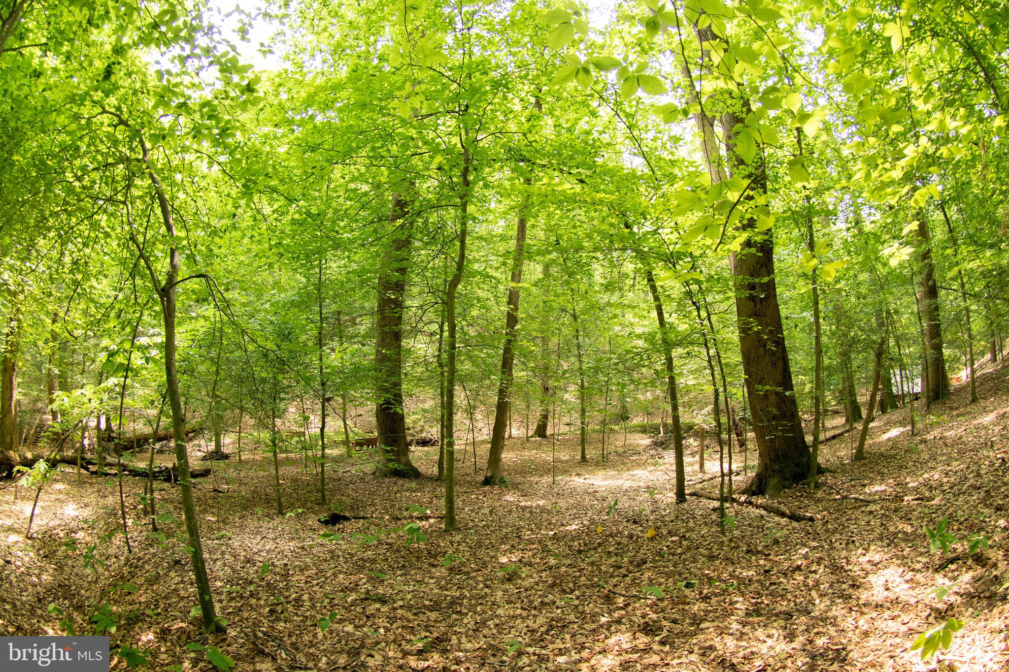 MOYAONE RESERVE - Residential