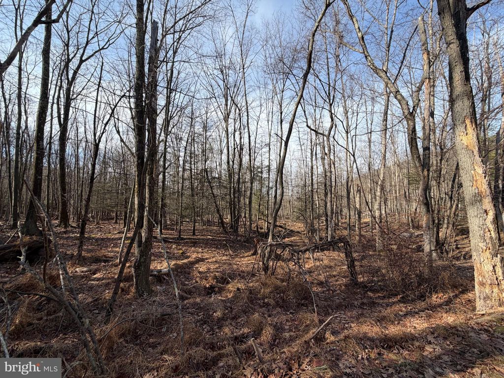 Photo of 651 Aspen Drive, ZION GROVE, PA 17985 (MLS # PASK2025104)