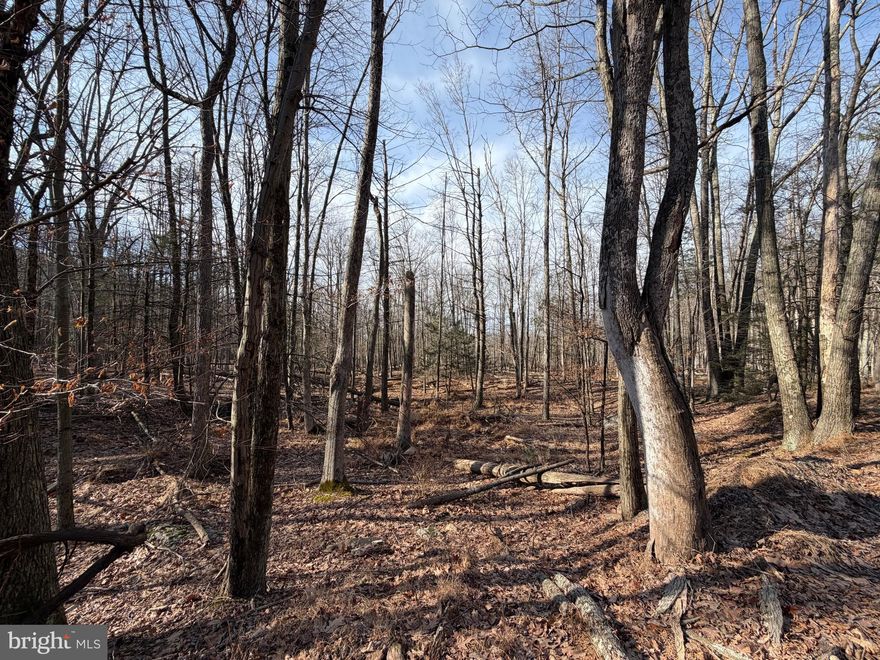 Looking to build in 2026 or beyond?  Secure your lot today!  Situated at the base of the mountain close to the lake, lodge, pool, tennis courts, and more, you can't ask for a more convenient yet serene location.   The adjoining lot 650 Aspen Dr is also for sale in a separate listing, allowing you to purchase both and build on 1.2 acres.  Whether you've been imagining building a second home or just waiting to build that forever home, WAIT NO MORE!  The Cove Village Community is situated in the foothills of the Poconos and only 1 1/2 hours to New York,  With easy access to I-81 your commute to Hazleton, Wilkes Barre, or Scranton is a breeze.  Bring your own builder and let's get started.   Another cost-saving perc of the community is having public water and sewer already in place and ready for you to connect through Aqua of Pa.   750 acres of unoccupied prime hunting, ATV, and snowmobile riding land surround the residential portion of Cove Village and is allocated only for the residents of the community and their guests!  Driving through the community, the peace and tranquility will envelop you.  At any given moment the deer, turkey, and birds will entertain you in your own backyard.   Homes within the community vary from rustic cabins and chalets to traditional ranch or two-story homes and even exquisite new construction or dreamy mountain log homes.  There really is something for everyone.  The approximately 278 acres of residential homes and lots are occupied by full-time residents, part-time vacation homes, and even some snowbird second homes.  Cove Village offers an abundance of amenities including a swimming pool, stocked fishing lake, a basketball court, tennis courts, a volleyball court, 2 playgrounds, a baseball field, ATV paths, hunting, a mini golf course, walking paths, and year-round Community events.  I can't forget to mention the beautiful lodge ideal for renting for family gatherings.   This lot and community just might be exactly what you've been looking for.  Air B and B are not permitted. Camping on vacant lots is not permitted.  Mobile homes are not permitted.  Modular homes are permitted. The minimum square footage when building is 1400 square feet.  The community maintains the roads and snow removal.  Trash collection is also provided.   An appointment is required to view due to the gated community.  Call to schedule your tour today!