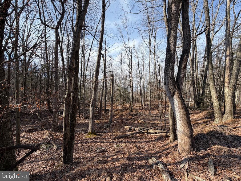 Photo of 651 Aspen Drive, ZION GROVE, PA 17985 (MLS # PASK2025104)