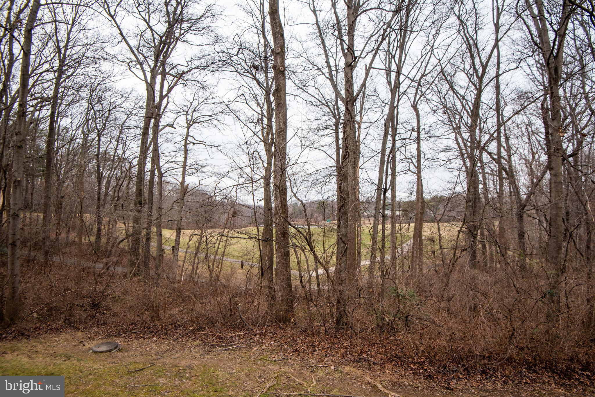 BURKE COVE - Residential Lease