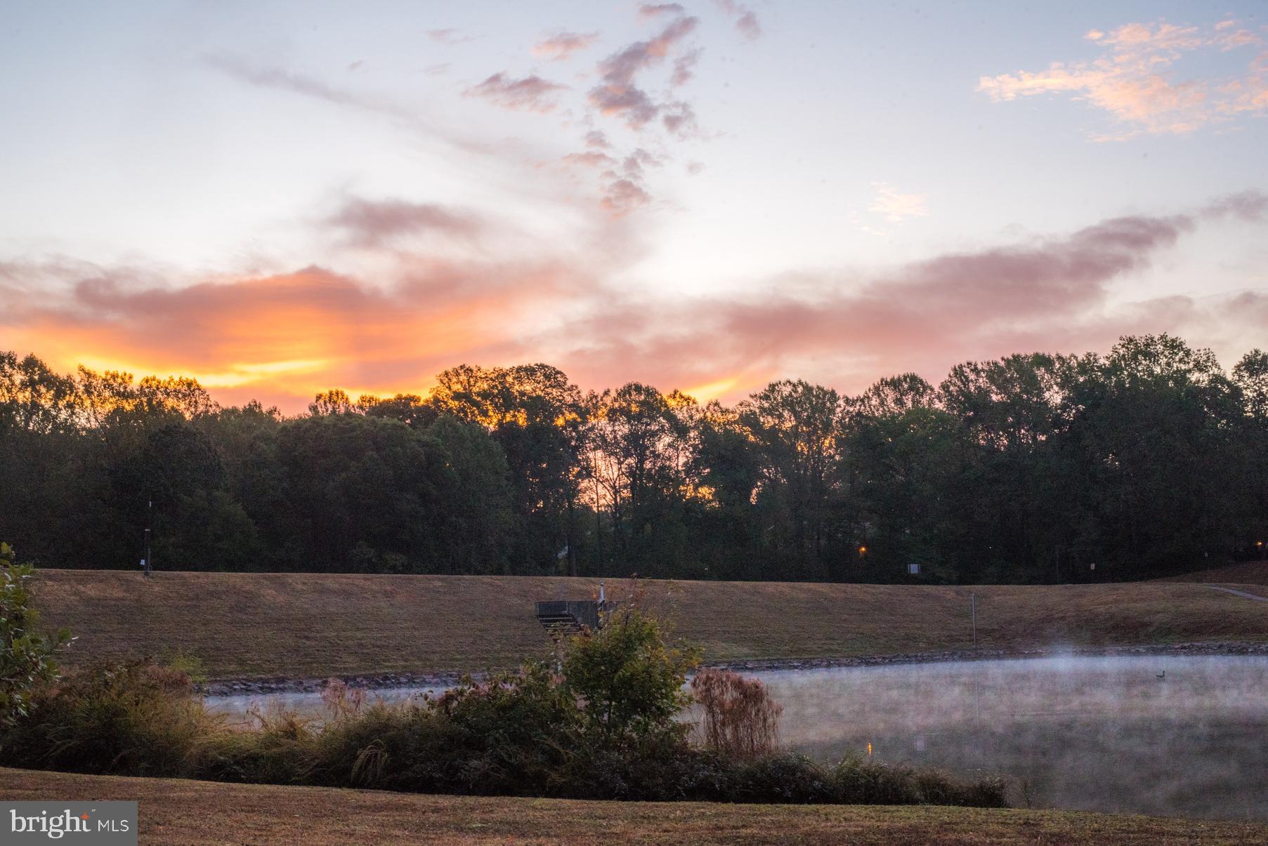 BURKE COVE - Residential Lease