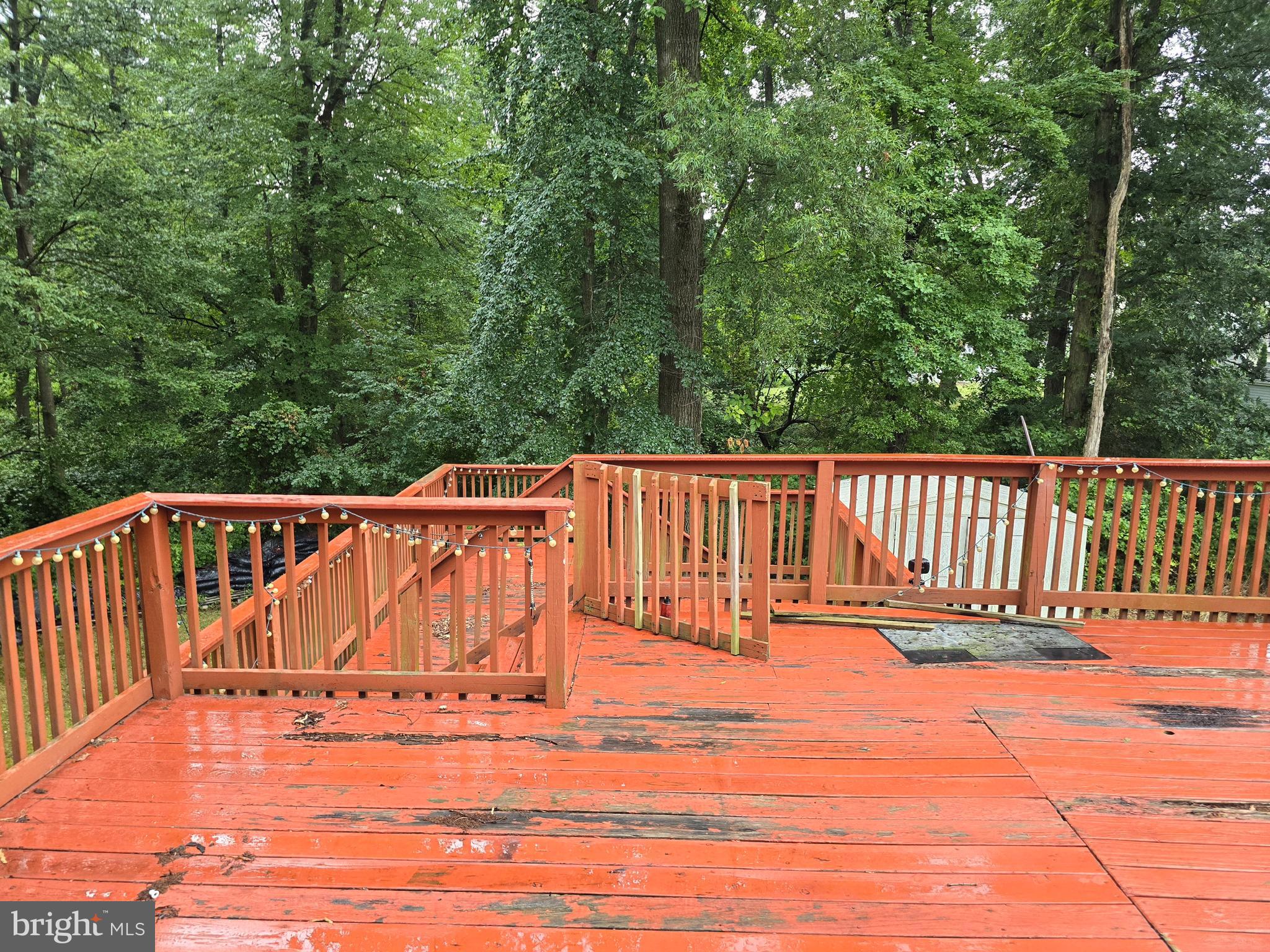 JOPPA HEIGHTS LITTLE FARM - Residential