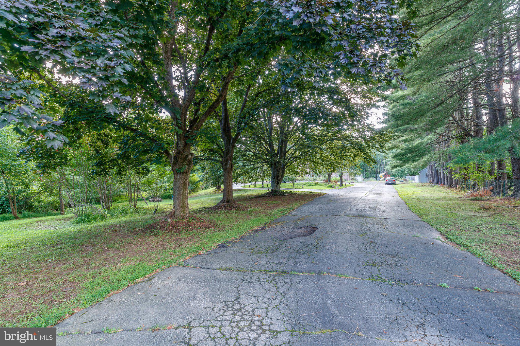 1135 ROMSEY DRIVE