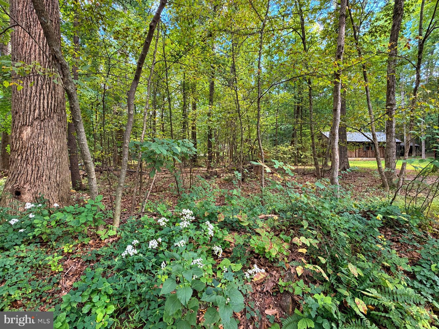 17196 OLD STUMPY LANE