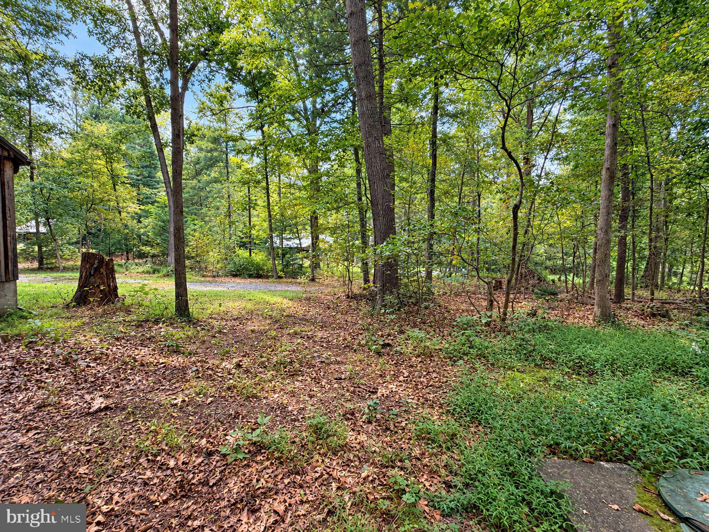 17196 OLD STUMPY LANE