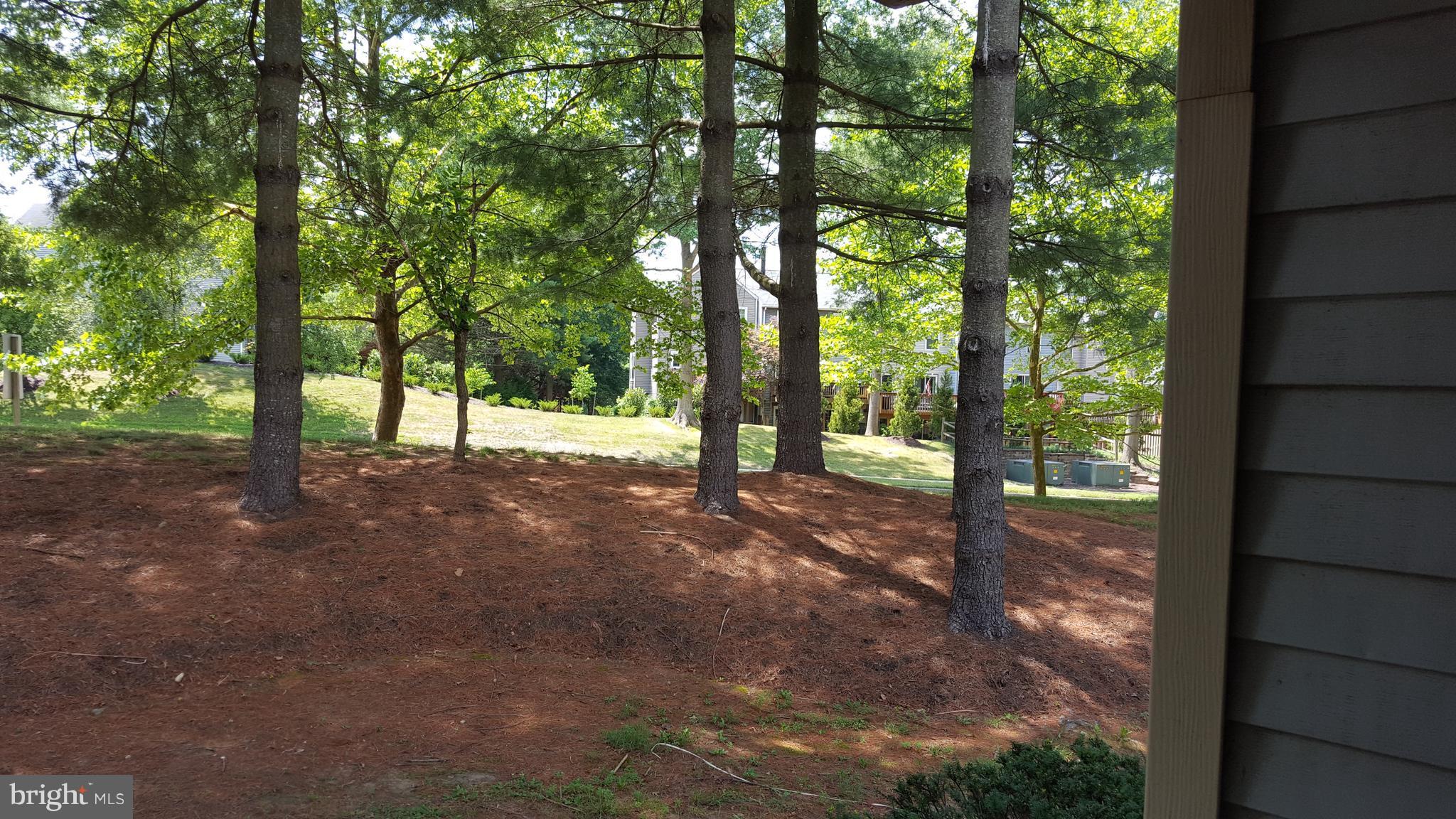 DORSEY HALL - Residential