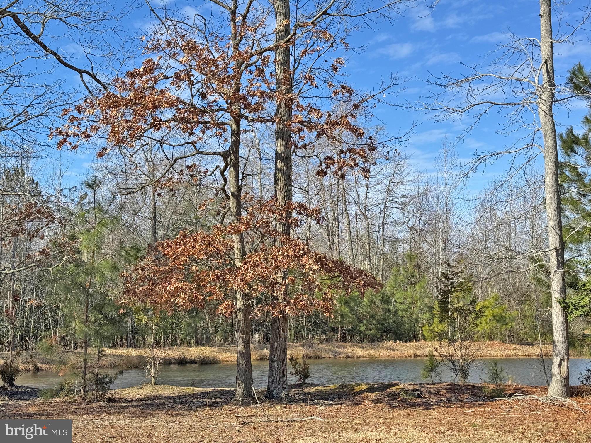 REHOBOTH BAY MHP - Residential