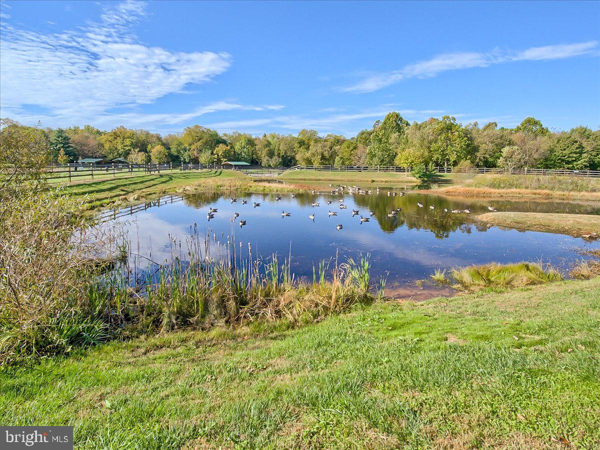 BALLENGER CREEK CENTER POND - Residential