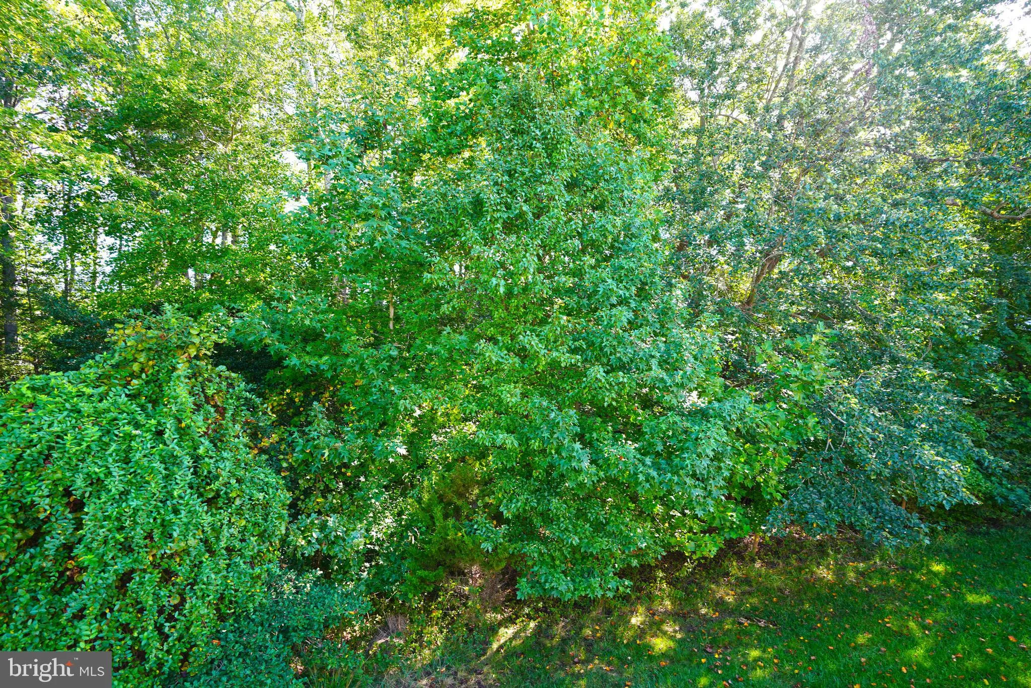 Lewes, Delaware 19958, United States, 5 Bedrooms Bedrooms, ,4 BathroomsBathrooms,Residential,Active,224073