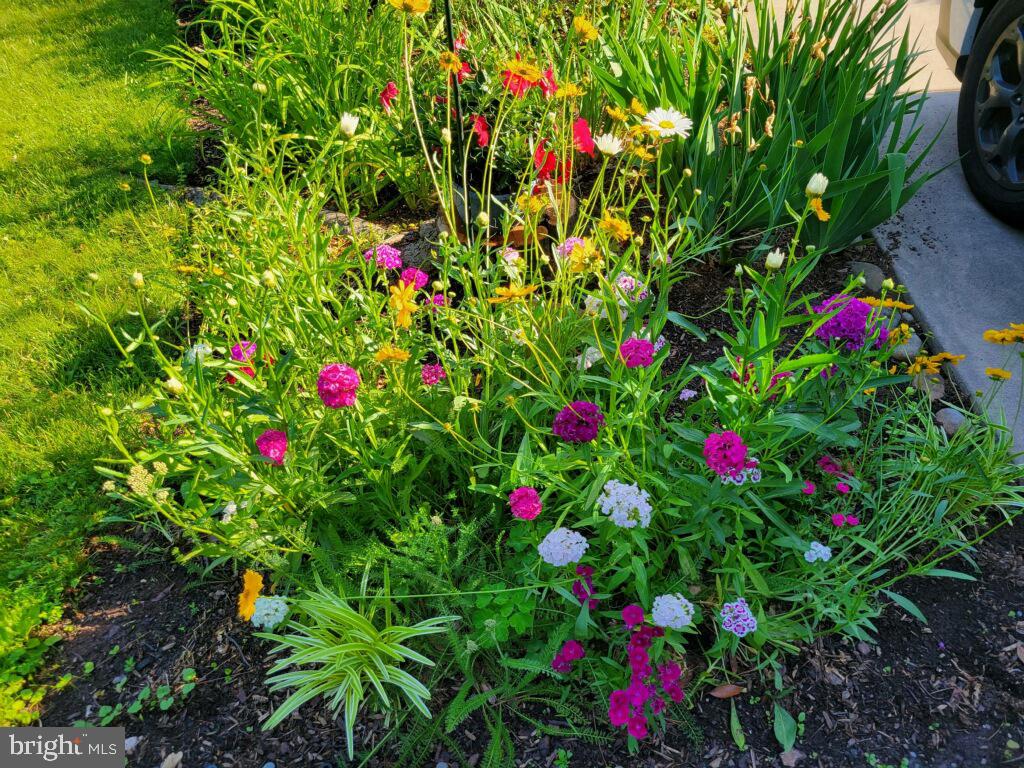 SUGARLAND RUN - Residential