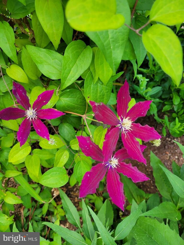 SUGARLAND RUN - Residential