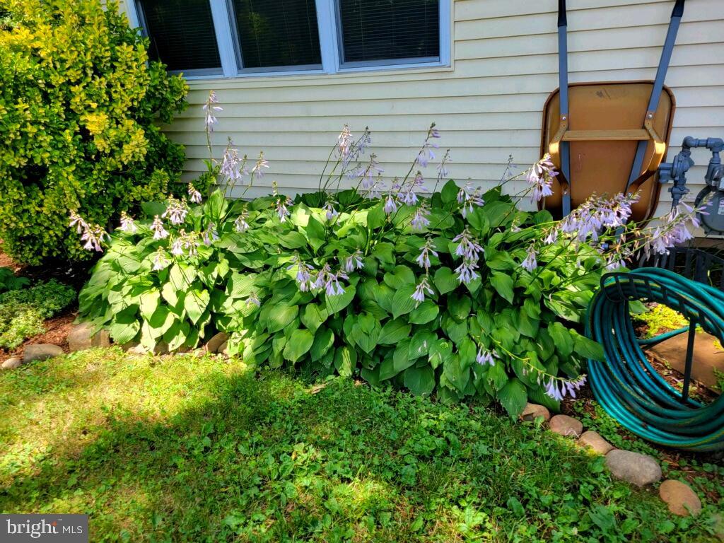 SUGARLAND RUN - Residential