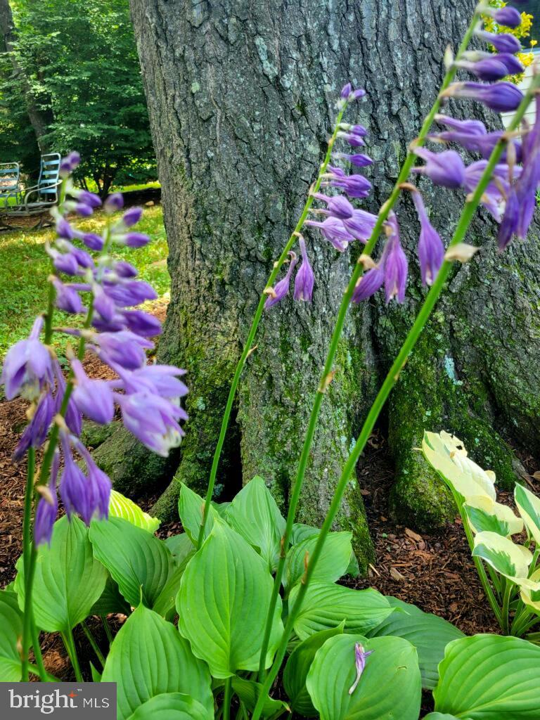 SUGARLAND RUN - Residential