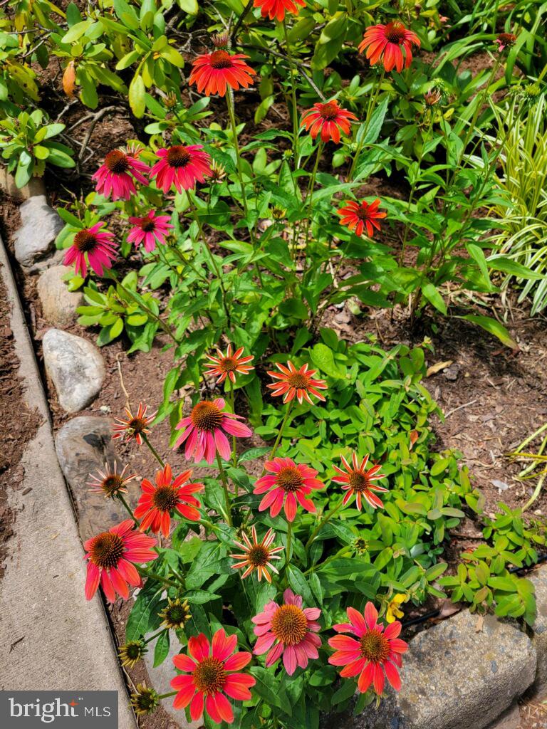 SUGARLAND RUN - Residential