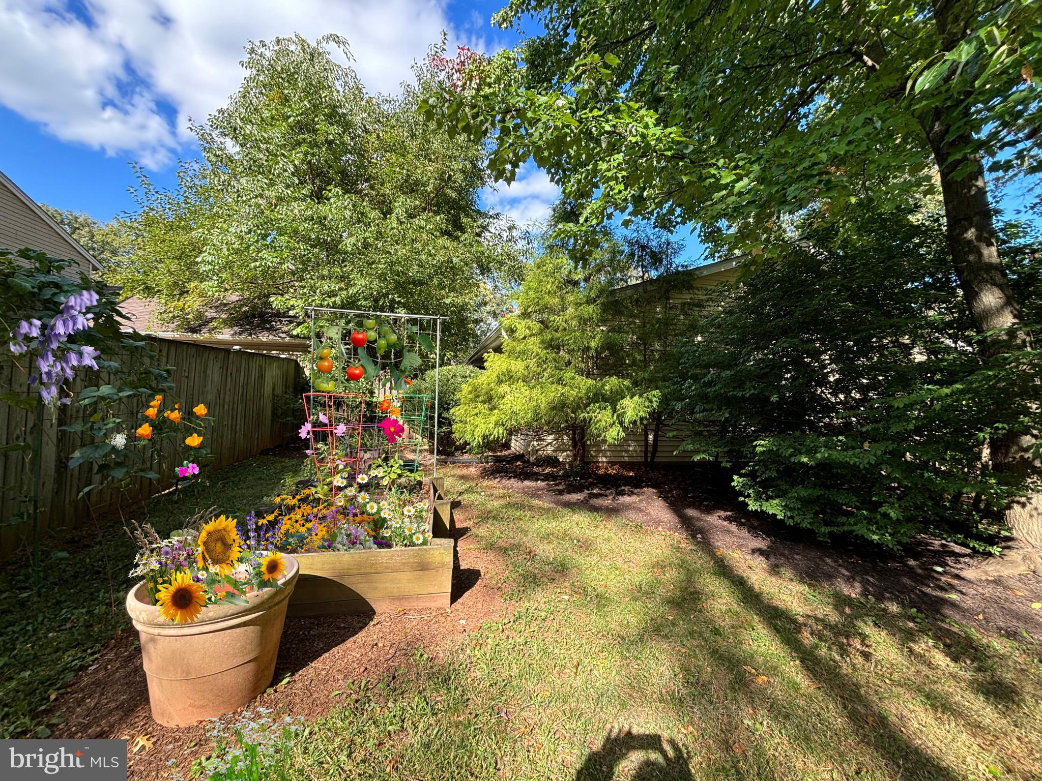 SUGARLAND RUN - Residential