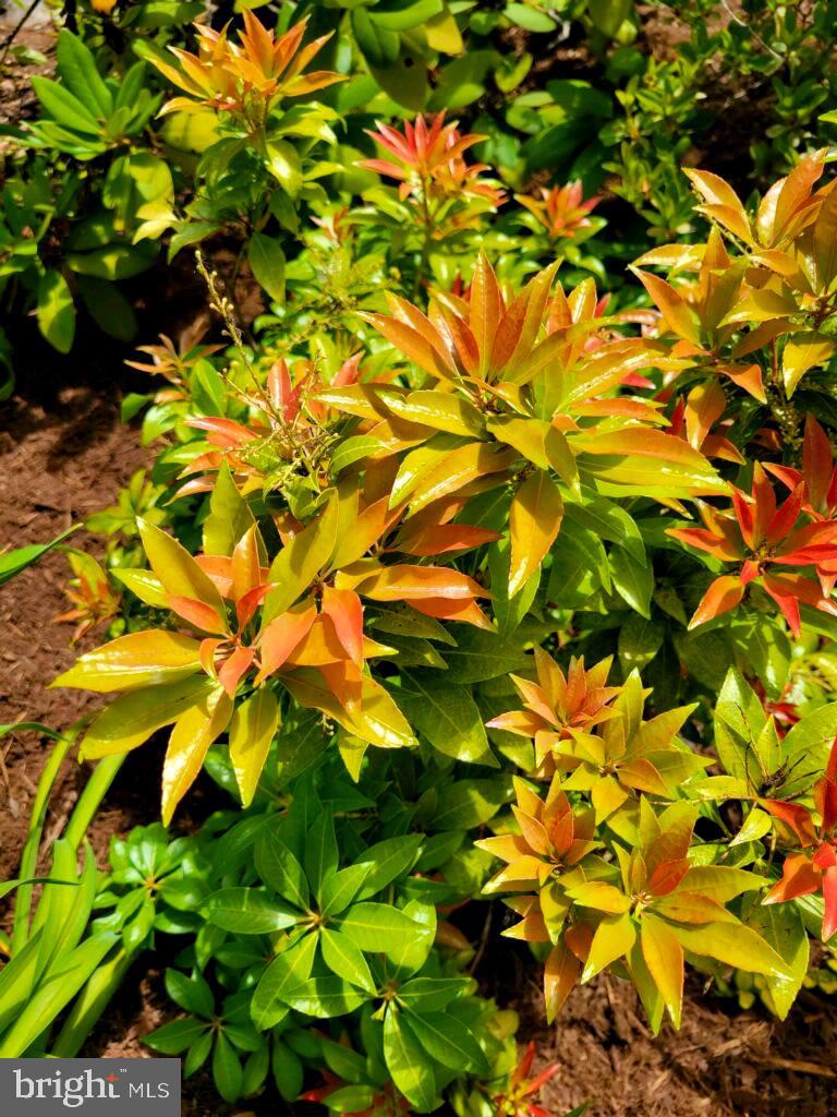 SUGARLAND RUN - Residential