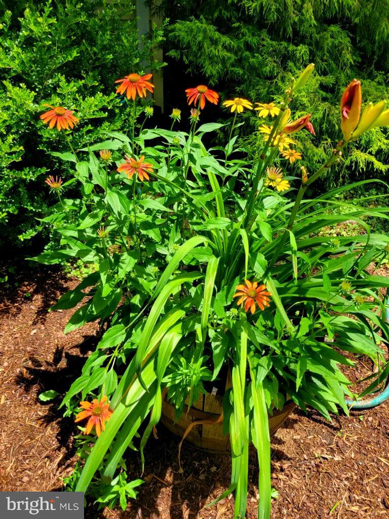 SUGARLAND RUN - Residential