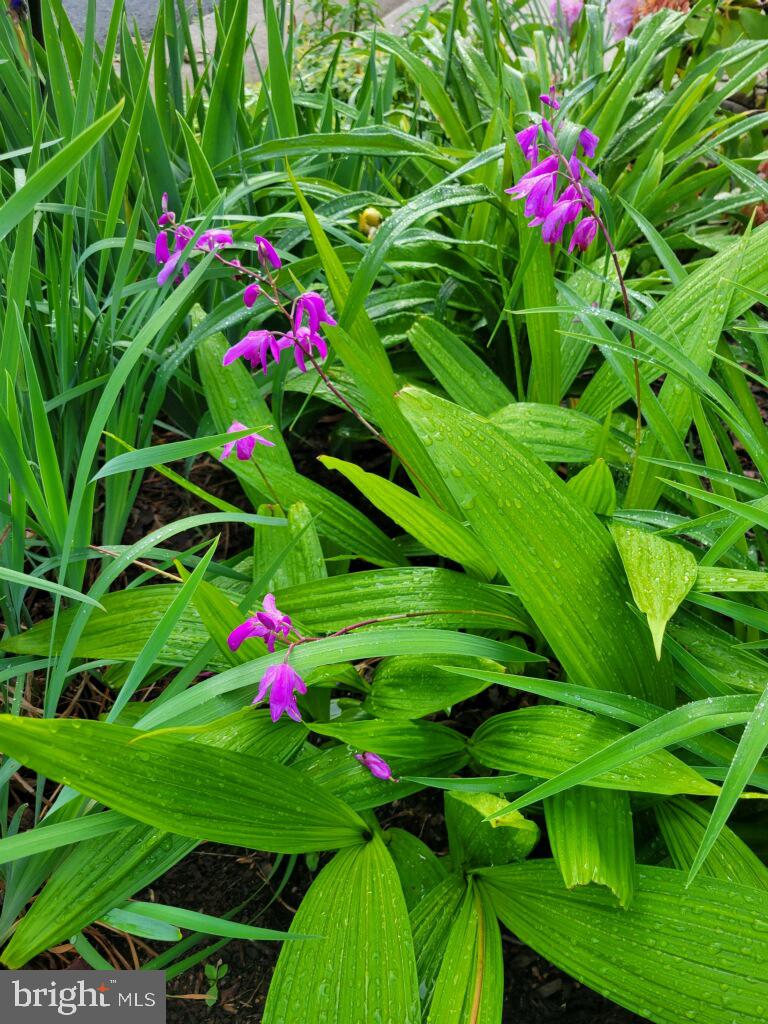 SUGARLAND RUN - Residential