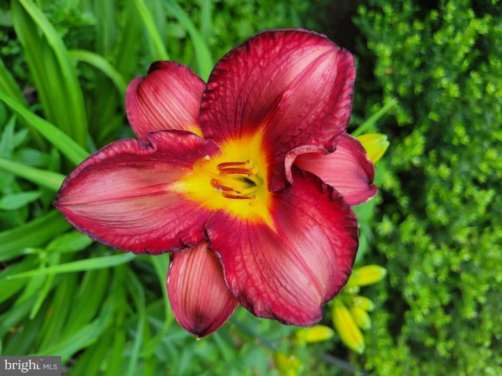 SUGARLAND RUN - Residential