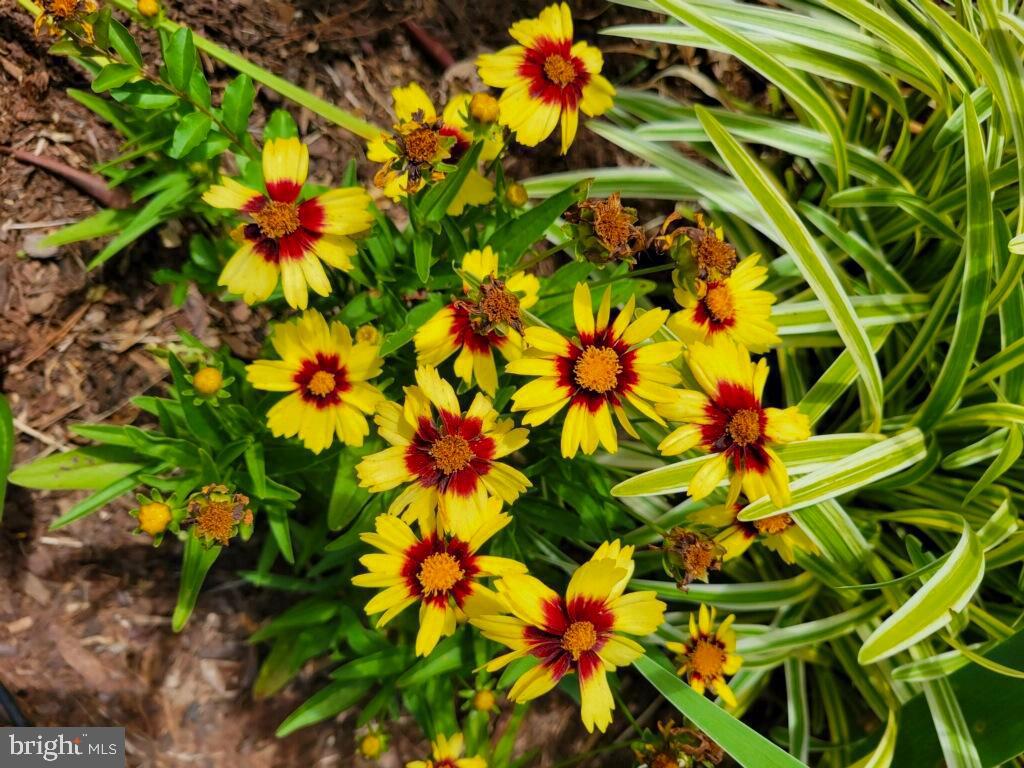 SUGARLAND RUN - Residential