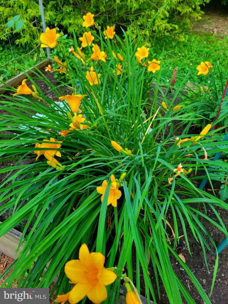 SUGARLAND RUN - Residential