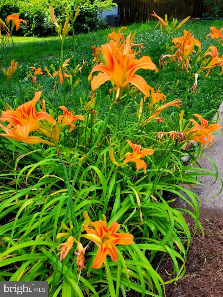 SUGARLAND RUN - Residential