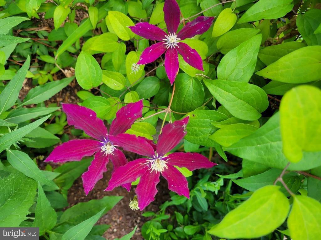 SUGARLAND RUN - Residential