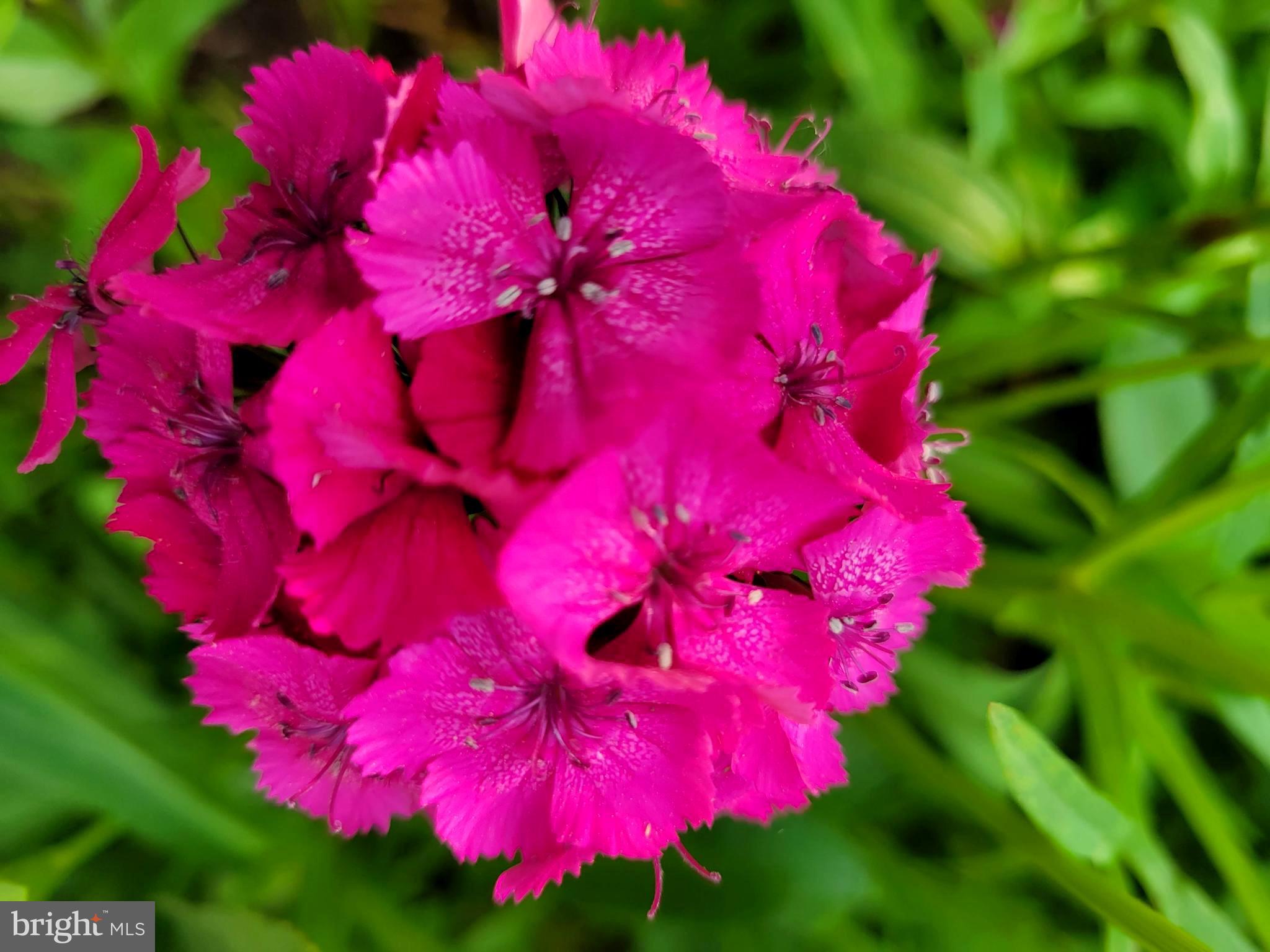 SUGARLAND RUN - Residential